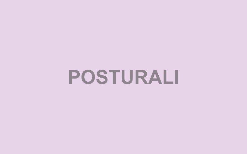Ausili Posturali
