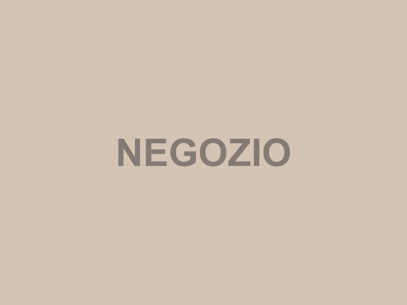 Ottica Cagnazzo - Interno negozio